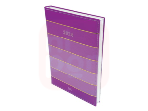 Agenda 2024 DAC Purple